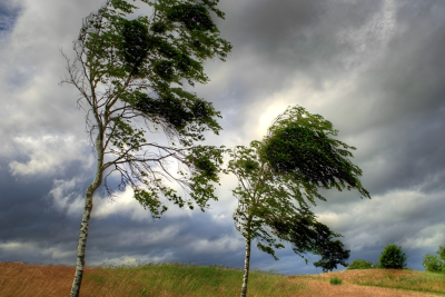 Bayram günlərində GÖZLƏNİLƏN HAVA PROQNOZU