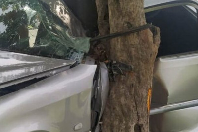 Mingəçevirdə maşın ağaca çırpılıb, sürücü xəsarət alıb