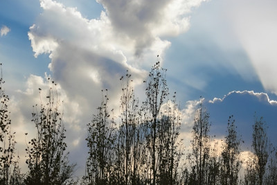 Sabahın havası açıqlanıb