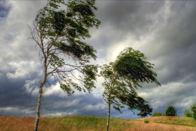 Küləkli hava ilə bağlı XƏBƏRDARLIQ