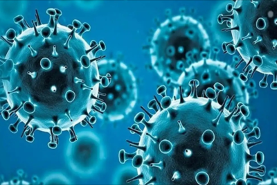 Azərbaycanda yeni yayılan virusla bağlı NAZİRLİKDƏN AÇIQLAMA