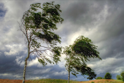 Sabah bəzi yerlərdə külək əsəcək, duman olacaq - PROQNOZ
