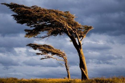 Sabah külək güclənəcək - XƏBƏRDARLIQ