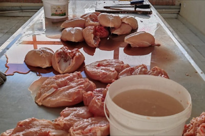 Gəncədə quş əti məhsullarının emal olunduğu müəssisə bağlanıb - FOTO