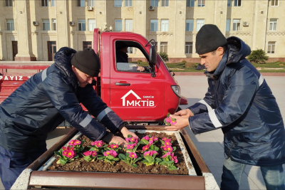 Gəncədə iqlim şəraitinə uyğun mövsümü güllər əkilib - FOTO