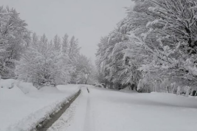 Sabahın hava durumu bəlli olub