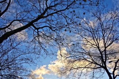 Sabaha olan hava PROQNOZU