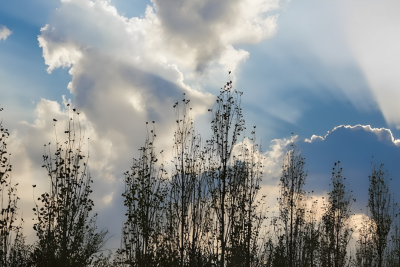 Qərb bölgəsində gözlənilən hava şəraiti bəlli oldu