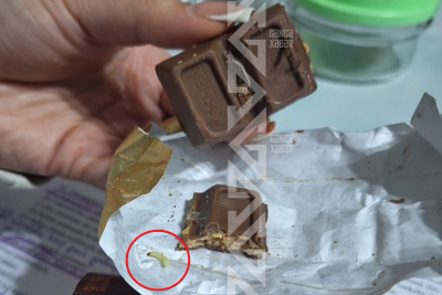 Gəncədə qurdlu şokolad satılıb: “Gətir, yenisi ilə əvəz edək”