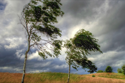 Küləkli hava şəraiti ilə bağlı əhaliyə xəbərdarlıq