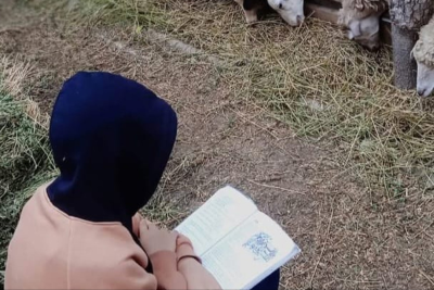 Rayon olimpiadasının birincisi: “Sürü otararkən də dərslərimlə məşğul oluram” - FOTO