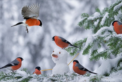 Sabah bu rayonlara qar yağacaq - PROQNOZ