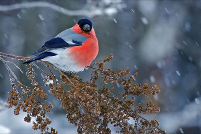 Sabah hava necə olacaq? - PROQNOZ