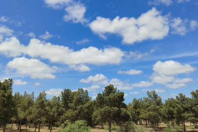 Sabah hava necə olacaq? - PROQNOZ