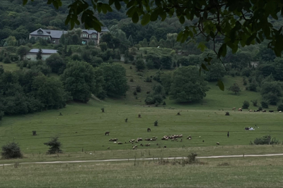 Azərbaycanda kəndlərin sayı AZALIB
