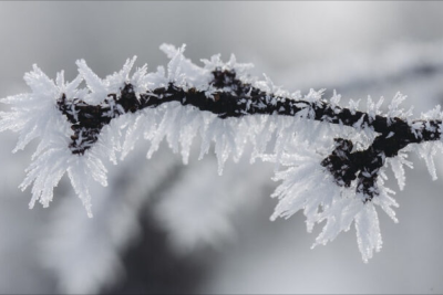 Dağlıq rayonlarda 13 dərəcəyədək şaxta olub - FAKTİKİ HAVA