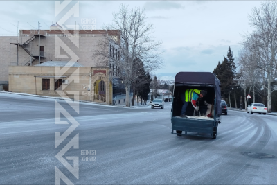 Gəncə küçələri gücləndirilmiş rejimdə təmizlənir