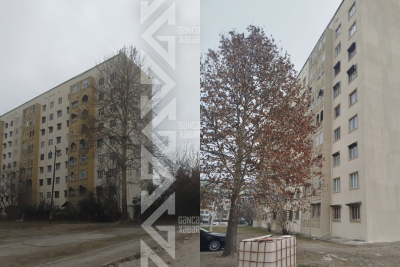 Gəncədə baxımsız bina yenə diqqətsiz qaldı - VİDEO