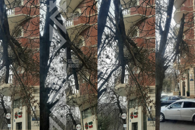 Gəncədə ağacın iri budağı təhlükə saçır