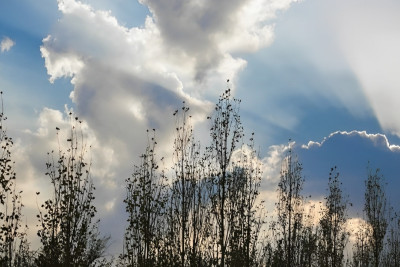 Qərb bölgəsinin sabaha olan hava şəraiti açıqlanıb