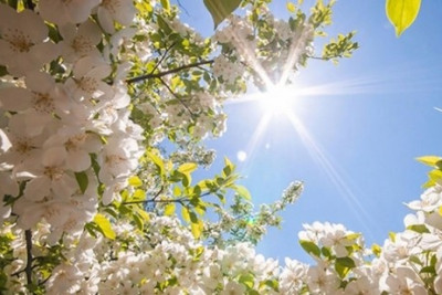 Hava sabah da isti olacaq