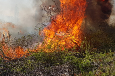 Şəmkirdə yanğın baş verib
