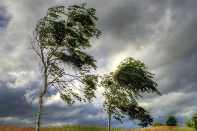 Sabah külək arabir güclənəcək