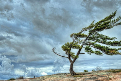 Bəzi ərazilərdə külək əsir - FAKTİKİ HAVA