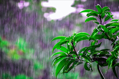 Yağıntılı hava şəraiti davam edir - FAKTİKİ HAVA