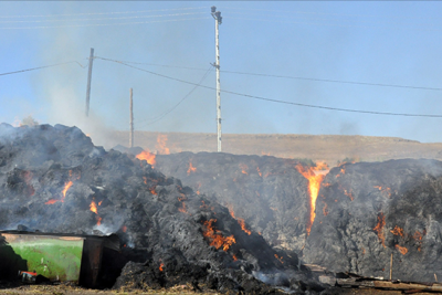 Goranboyda 80 ton ot bağlaması yanıb