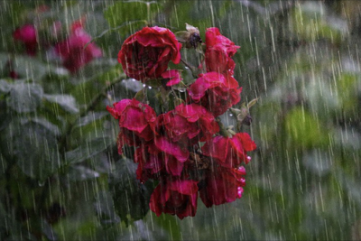 Yağıntılı hava şəraiti davam edir - FAKTİKİ HAVA