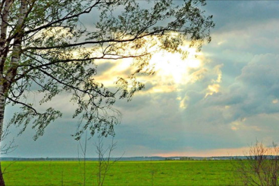 Sabah hava yağmursuz olacaq - PROQNOZ