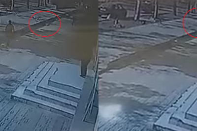 Gəncədə itlər qadına hücum edib - VIDEO