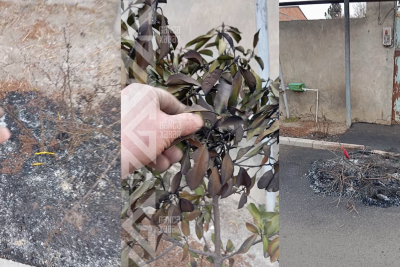 Gəncədə bayram sevincinin xoşagəlməz nəticəsi - VİDEO