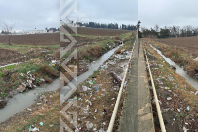 Məişət tullantılarına qərq olan ərazi - VİDEO