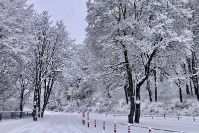 Bazar günü gözlənilən hava şəraiti