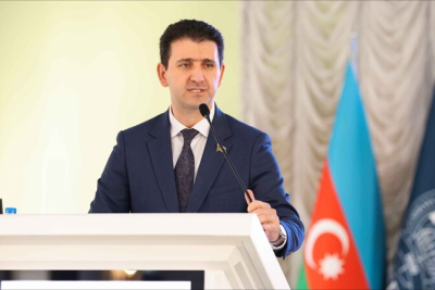 Gəncənin deputatı Milli Məclisdə sahibsiz heyvanlardan danışdı