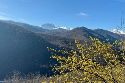İstirahət günlərində Göygöl Milli Parkında gözlənilən hava