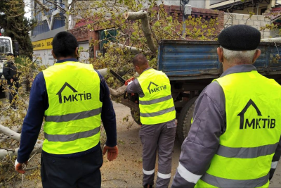 Gəncədə ağaclarda budama işləri aparılıb - FOTO