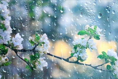 Gəncədə duman və yağış müşahidə olunur - FAKTİKİ HAVA