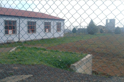 Gədəbəydə stadionu şumladılar: Kartof əkəcəklər