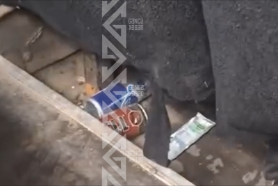 Gəncədə avtobuslar zibilliyə çevrilib - VİDEO