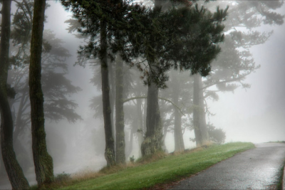 Sabah hava necə olacaq?