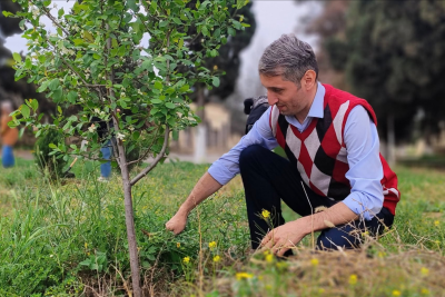 Məktəblərimizdən birində Yer günü münasibəti ilə ağaclara qulluq olunub - FOTO