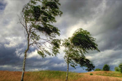 Külək əsəcək, dolu düşəcək - PROQNOZ
