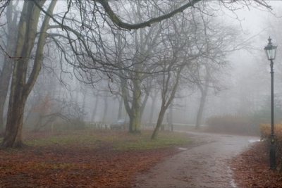 Şimşək çaxacaq, duman olacaq - PROQNOZ