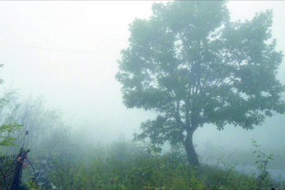 Duman olub, yağış yağıb - FAKTİKİ HAVA