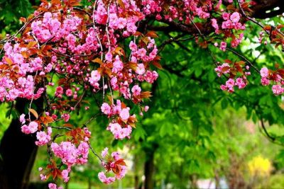 Sabah 23 dərəcə isti olacaq - PROQNOZ