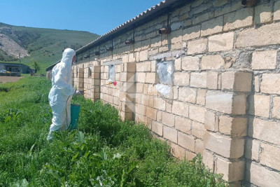 Canavarların hücum etdiyi fermada dezinfeksiya işləri aparıldı - FOTO