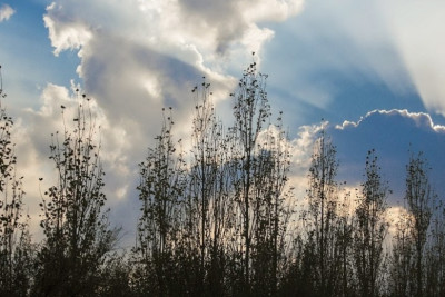 Sabahın hava proqnozu